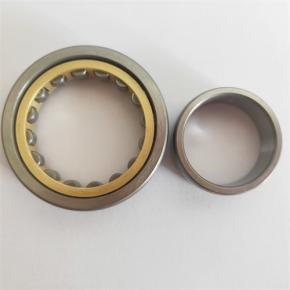 Large Size Cylindrical Roller Bearing-Brass Cage